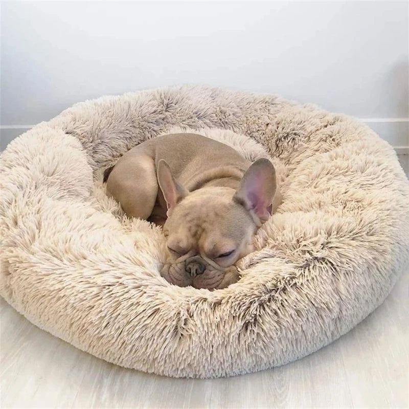 Cosy Calming Dog Bed